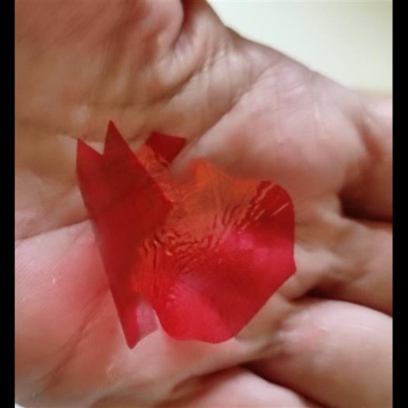 Shotwell's Checkers Kid Magnetic Fortune Teller Cracker Jack Popcorn Prize Toy - Picture 6 of 9